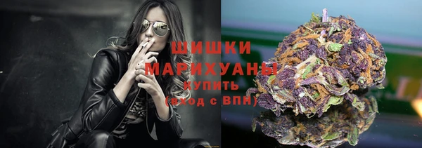 шишки Лагань