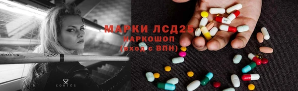 спайс Ладушкин