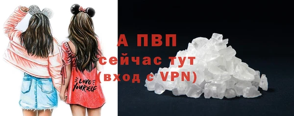 спайс Ладушкин