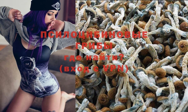 ECSTASY Лабытнанги