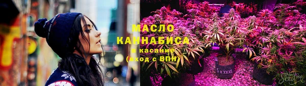 спайс Ладушкин