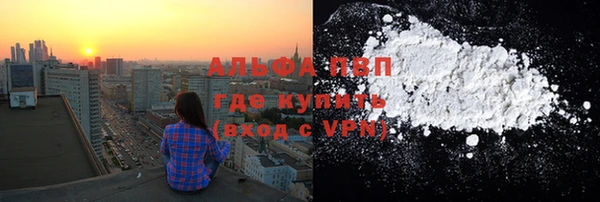 шишки Лагань