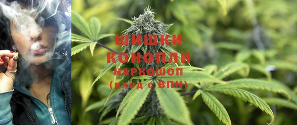 шишки Лагань